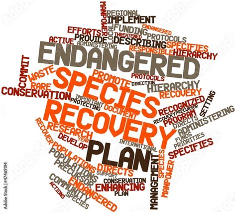 Word Cloud For Endangered Species Recovery Plan Stock Illustration