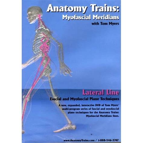 Anatomy Trains Dvds For Sale Fascial Health Literature