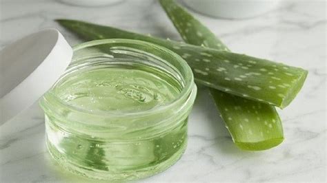 Our aloe vera gel is a clear, slightly thinner gel (a little watery) for maximum benefits without harmful ingredients. Does Aloe Vera Gel Reduce Wrinkles and Tighten Saggy Skin ...
