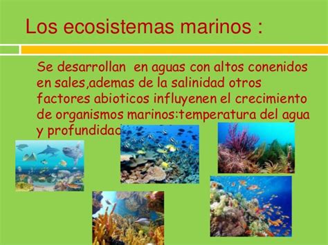 Los ecosistemas acuáticos son todos aquellos ecosistemas que tienen por biotopo algún cuerpo de agua, como pueden ser: Que es un ecosistema
