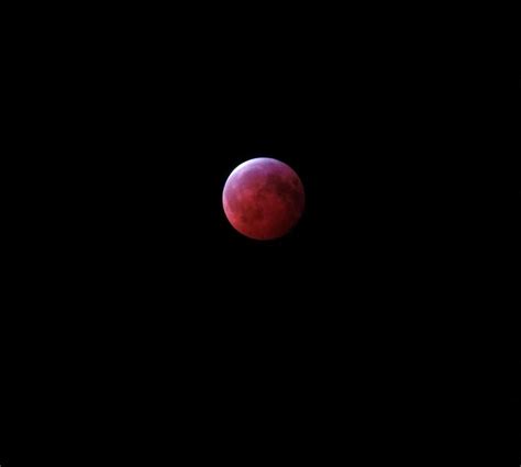 Super Blood Wolf Moon 2019 Photos And Videos Of The Lunar Eclipse From