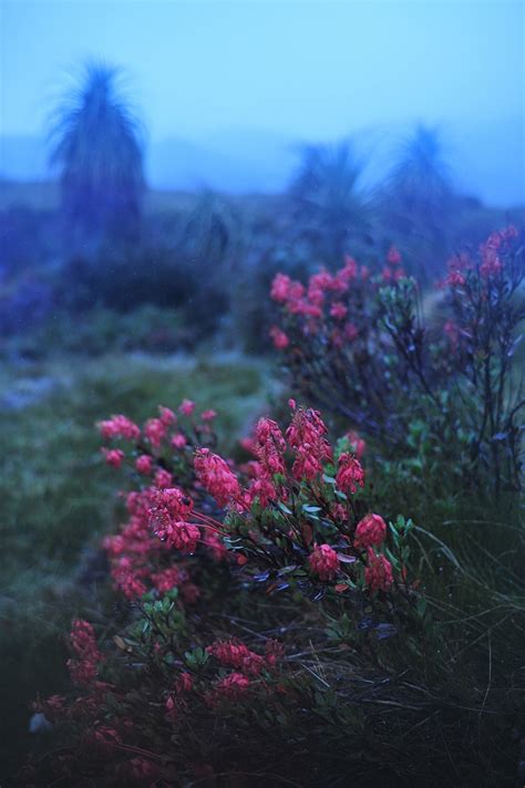 南半球は秋真っ盛り 写真家・相原正明のつれづれフォトブログ