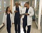 Grey's Anatomy Season 16: Analyzing Richard and Catherine's rivalry