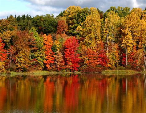 Fall Trees with lake - Northeastern Ontario Canada - Northeastern ...