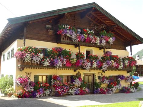 Bekijk beoordelingen en foto's van echte reizigers zoals jij. Pin by Anu on Flower power ☆★¸¸.•*¨*••.¸¸★☆ | Balcony ...