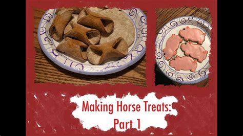 Making Horse Treats Part 1 The Cookie Youtube