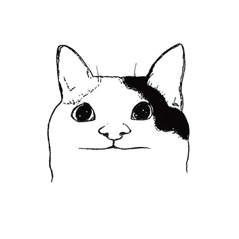 Be Polite Art Illustration Artist Drawing Meme Dankmeme Cat Bepolite Cat Face Drawing