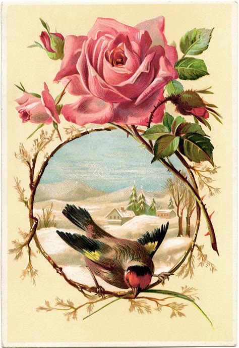 Rose And Bird Card ~ Free Victorian Graphic Old Design