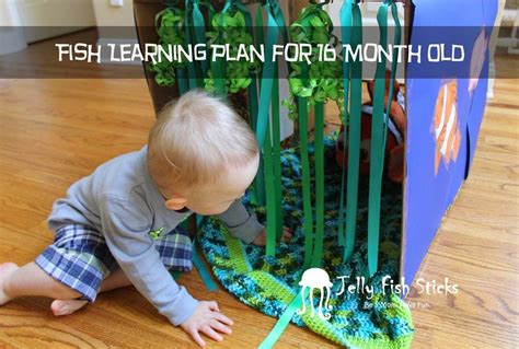 Physical education leads to physical literacy, which is critical for child development. Fish Learning Plan for 16 Month Old Kiddos | Lesson plans ...