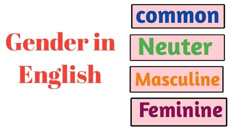 Gender In English Grammar Masculine Feminine Common Neuter Youtube