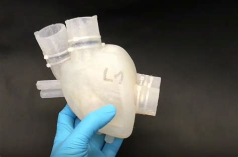 Researchers Print A 3d Soft Artificial Heart Heartbeat Included Fanvive
