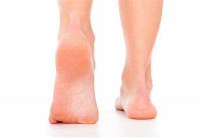 Heel Foot Pain Causes Feet Plantar Treatments