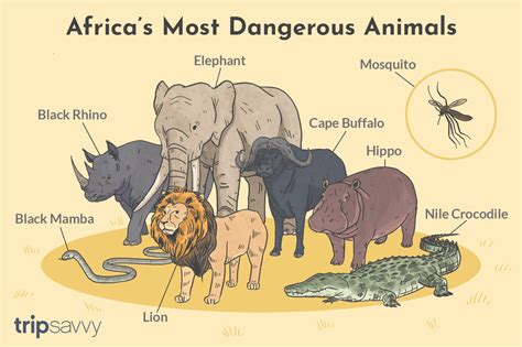 The 9 Most Dangerous Animals In Africa