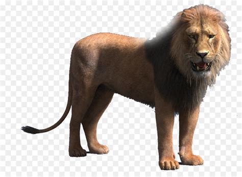 Free Transparent Lion Download Free Transparent Lion Png Images Free Cliparts On Clipart Library