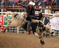 Bull riding bullrider rodeo western cowboy extreme cow (27) wallpaper ...