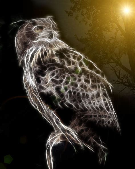 Eagle Owl By Tilly Awesome Bird Owl Wallpaper Animal Wallpaper