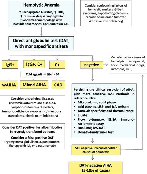 Diagnostic Algorithm Of Aiha Download Scientific Diagram