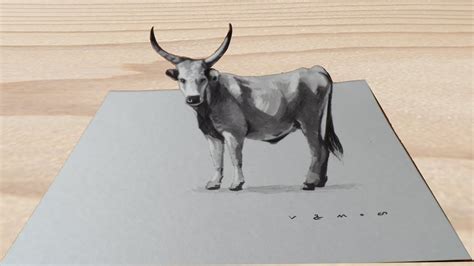 Grey Cattle Illusion How To Draw Grey Cattle 3d Trick Art Youtube