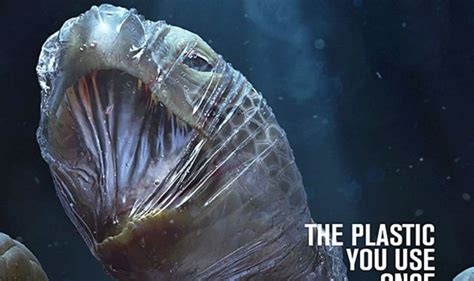 Plastic Horror Horrific Pictures Show Crisis In Marine Pollution