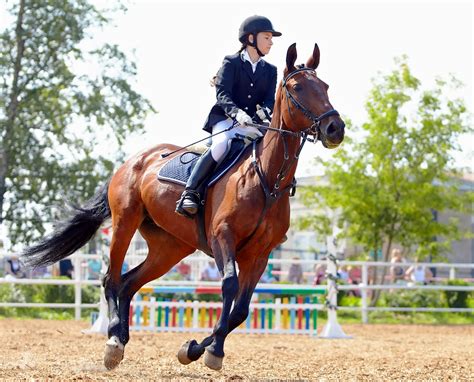 How To Improve Your Riding Skills The Canter Part 1｜minnano Jouba