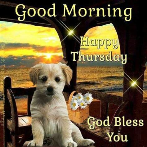 Puppy Dog Good Morning Happy Thursday Pictures Photos