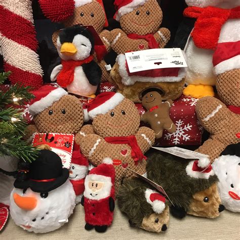 'Tis the Season to Treat your Furry Friend - What a Great Dog!