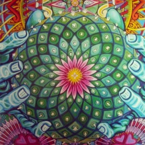 Peyote To Lsd A Psychedelic Odyssey Psychedelic Adventure