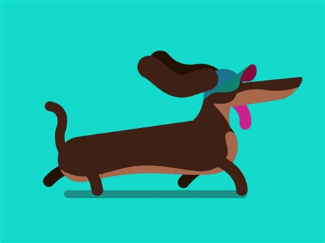Dog Animated  Images ~  Dog Walking Animated Behance S Cartoon