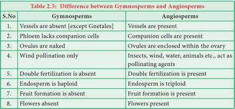Comparison Of Gymnosperm With Angiosperms