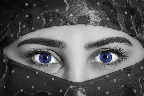 Blue Eyes Of Woman Free Stock Photo Public Domain Pictures