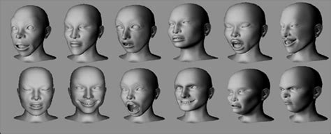 4797 3d Virtual Facial Expression Studio