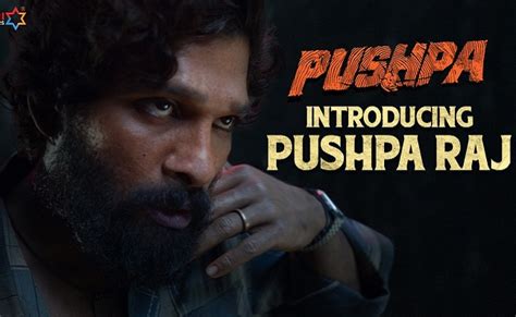Catch Pushpa Teaser Featuring Too Many Actions Going On The Higher Note
