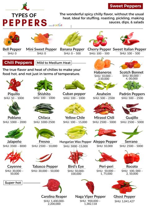 30 Different Types Of Peppers From Sweet To Mild And Truly Hot Only