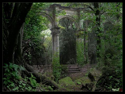 Forest Ruins Magical Places Abandoned Places Beautiful Places
