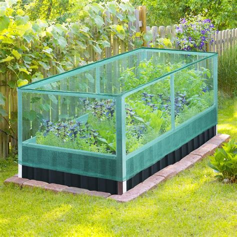 King Bird Raised Garden Bed With Garden Anti Bird Protection Netting