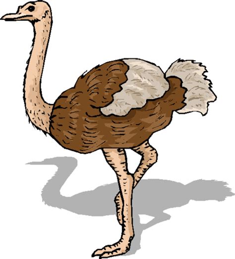 Cartoon Ostrich Clipart Best