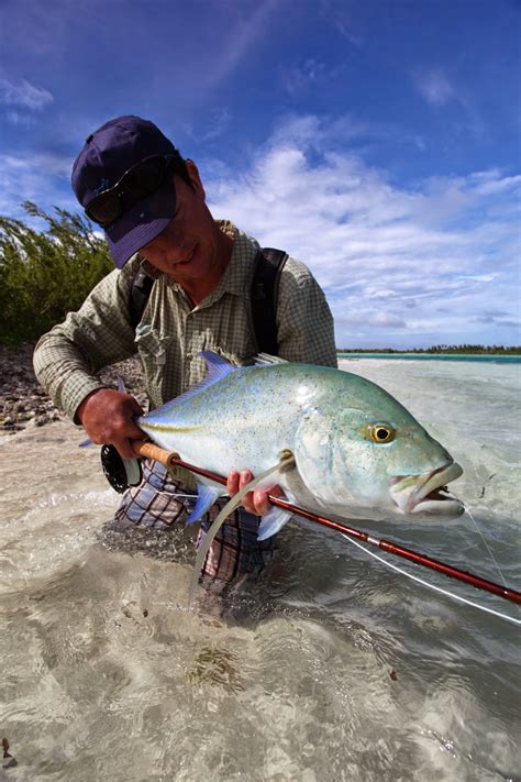 Fly Odyssey Newsletters Fly Fishing In The Maldives Four Resorts