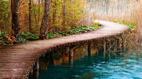 Nature Bridge Path Water Wallpapers Hd Desktop And Mobile Backgrounds