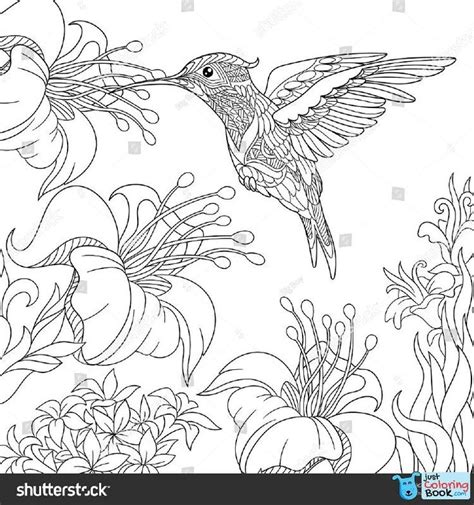 Use this lesson in your classroom, homeschooling fun lesson activity about the hummingbird. Coloring Page Of Hummingbird And Hibiscus Flowers Freehand ...