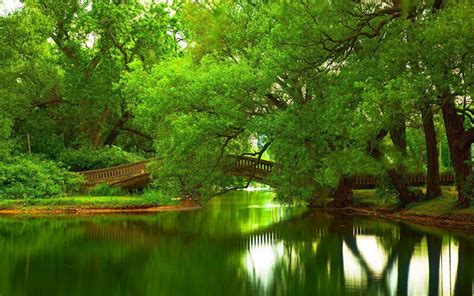 Body Of Water Green Bridge Trees Hd Wallpaper Wallpaper Flare