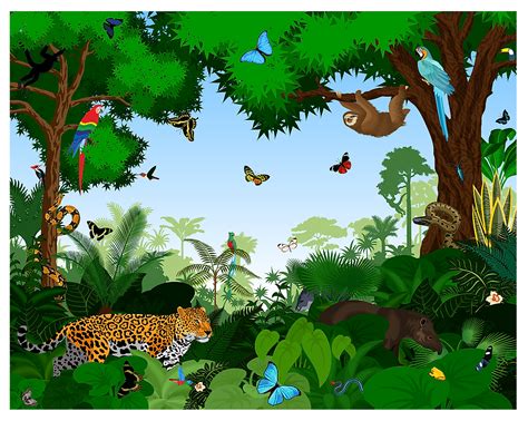 Tropical Rainforest Animals And Plants Drawing
