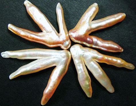 Chicken Feet Keshi Pearls High Luster 47cts Pf446