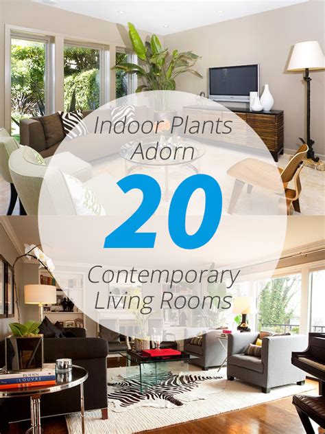 Indoor Plants Adorn 20 Contemporary Living Rooms Home