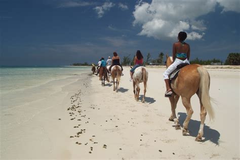 The Best Places To Go Horseback Riding Bahamas Your Ultimate Guide