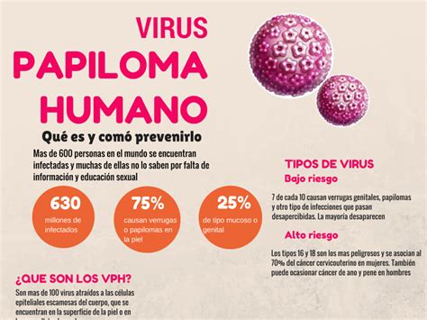 Virus De Papiloma Humano Culpable De Las Verrugas Genitales Hasta Cuando