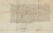 Georg von der Pfalz - Lehenbrief - Deutsche Urkunde auf Pergament...