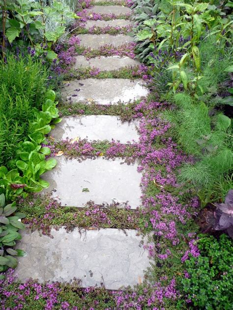 Plantes couvre sol top 10 des espèces incontournables