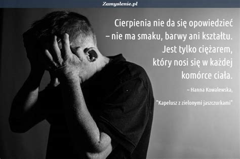 Cytaty O Przeprosinach 📖 Polishgeno