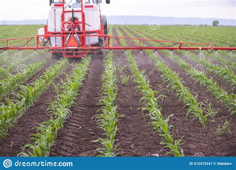 Tractor Spraying Pesticides At Corn Fields Stock Image Image Of Irrigate Countryside 212472247