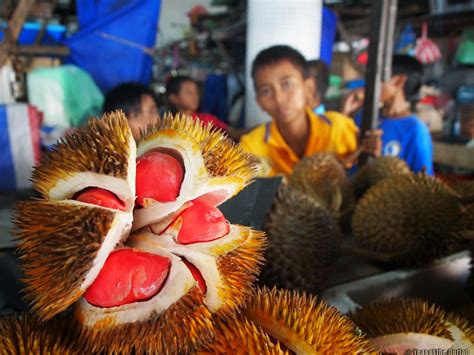 The capital of the state of sabah on the island of borneo, this malaysian city is a growing resort destination due to its proximity to tropical islands, sandy beaches, lush rainforest and mount kinabalu. Pink Durian at Kota Kinabalu's Central Market | Kota ...